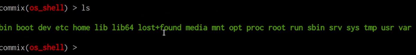 Commix pseudo terminal shell prompt - ls command Commix pseudo terminal shell prompt - ls command